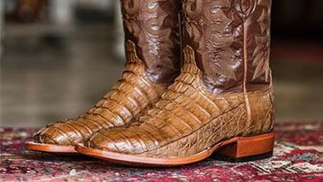 Cavender's